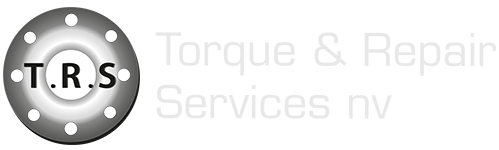 Torque Repair Services - logo